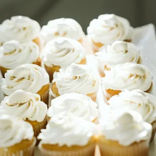 Custom cupcakes (Kat Ma Photography)