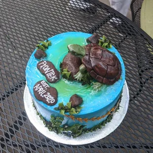 The turtle cake!