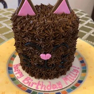 Cat cake