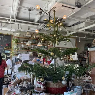 CakeM - Picking up Christmas Yule Log cake  Merry Christmas!