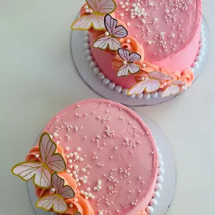 Butterflies and flower