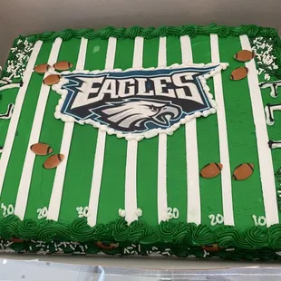 the philadelphia eagles logo on a football field