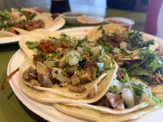 Mr. Taco
