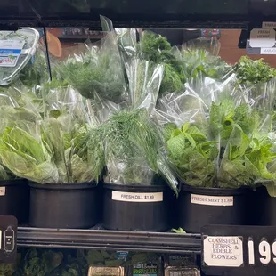 Fresh herbs