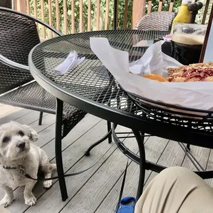 Dog Friendly Deck