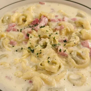 Beef tortellini with cream sauce