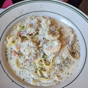 Fettucine Alfred w/ Prawns for $25.