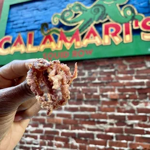 Tender Calamari