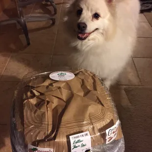 Delivered to my house in California, as my dog is looking forward to trying out a King Cake from Calandro's Supermarket.