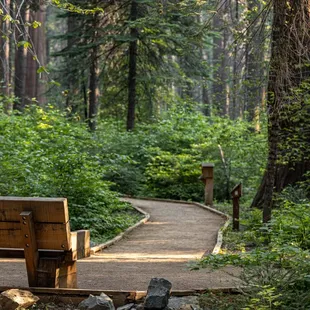Calaveras Big Trees State Park
