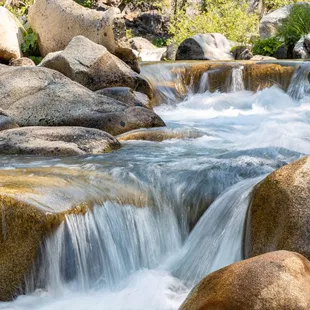 Calaveras Big Trees State Park