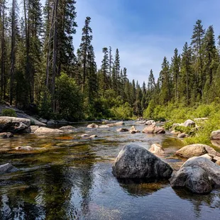 Calaveras Big Trees State Park