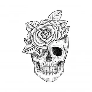 a drawing of a skull with a rose