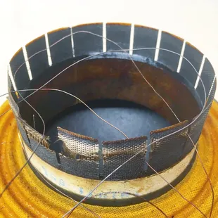 Holy cow! blown speaker for sure!