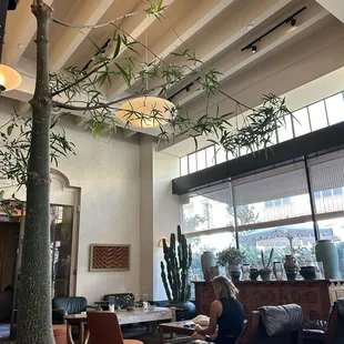 Indoor - waiting area