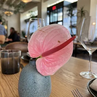Table top real flower