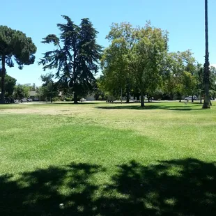The park