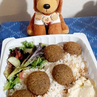 Falafel Plate