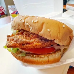 Spicy Chicken Sandwich. Very good!