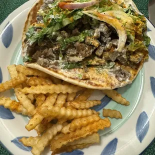 Beef &amp; Lamb Gyro with fries