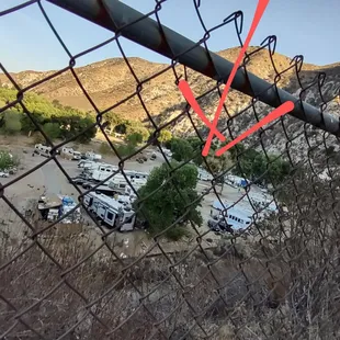 this is the tree yo!