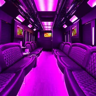 30-40 Person Tiffany IX Limo Bus