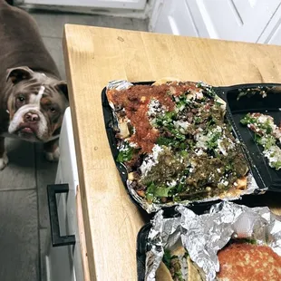 Cali Tacos Please