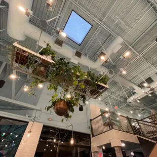 Decor