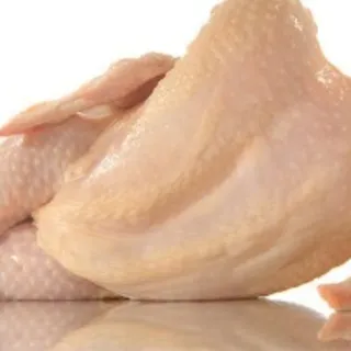 SexyChicken 1.