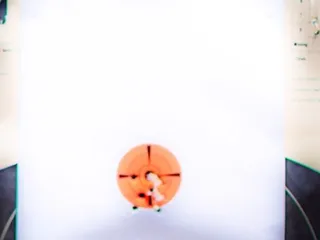 Palehorse Defense