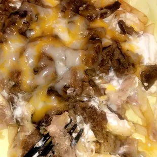 Flavorless Carne Asada fries