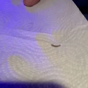 Worm  in food