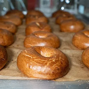 Limited Batch_Plain Bagels