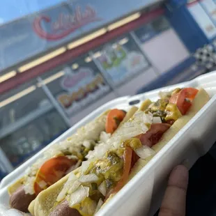 a hot dog in a styrofoam container