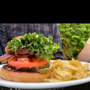 a burger and chips