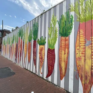 Carrot / beets mural