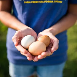 We use Organic and Farm Fresh Eggs from Hopewell Gardens