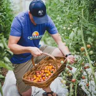 Farm to Truck fresh produce