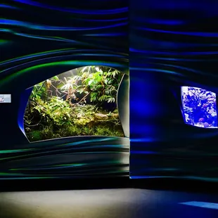 Aquarium section is aesthetically pleasing