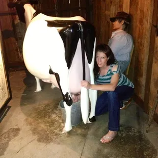 I did find a fake cow to fake milk on the Ag side.