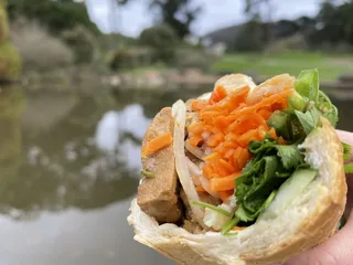 Ty Sandwich