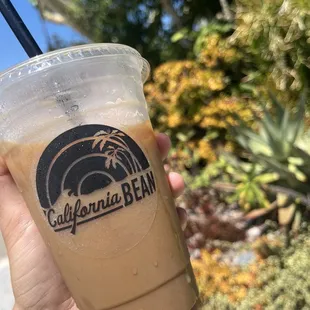 a hand holding a cup of iced coffee