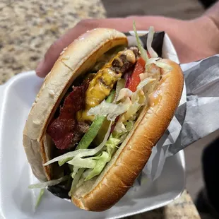 a hand holding a sandwich