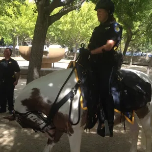 2015 CDSS Safety Awareness Fair