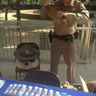 2015 CDSS Safety Awareness Fair