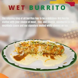 a plate of burrito