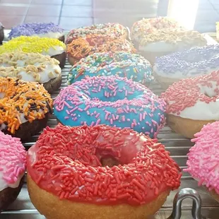 Variety of sprinkle donuts!