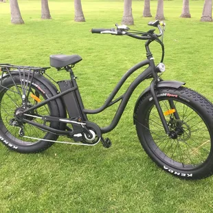 750W Fat Tire E-Bike
