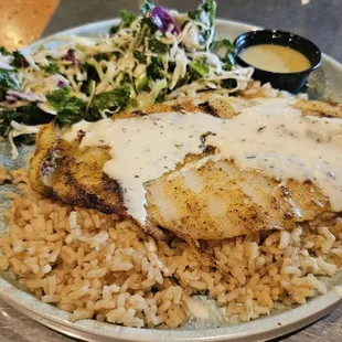 Swai (white fish) with the creamy garlic butter sauce, brown rice, Kaleslaw with a side of lime vinaigrette to mix into it. All great!