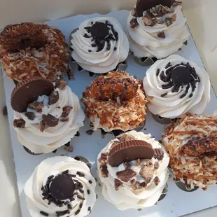 a dozen cupcakes in a box